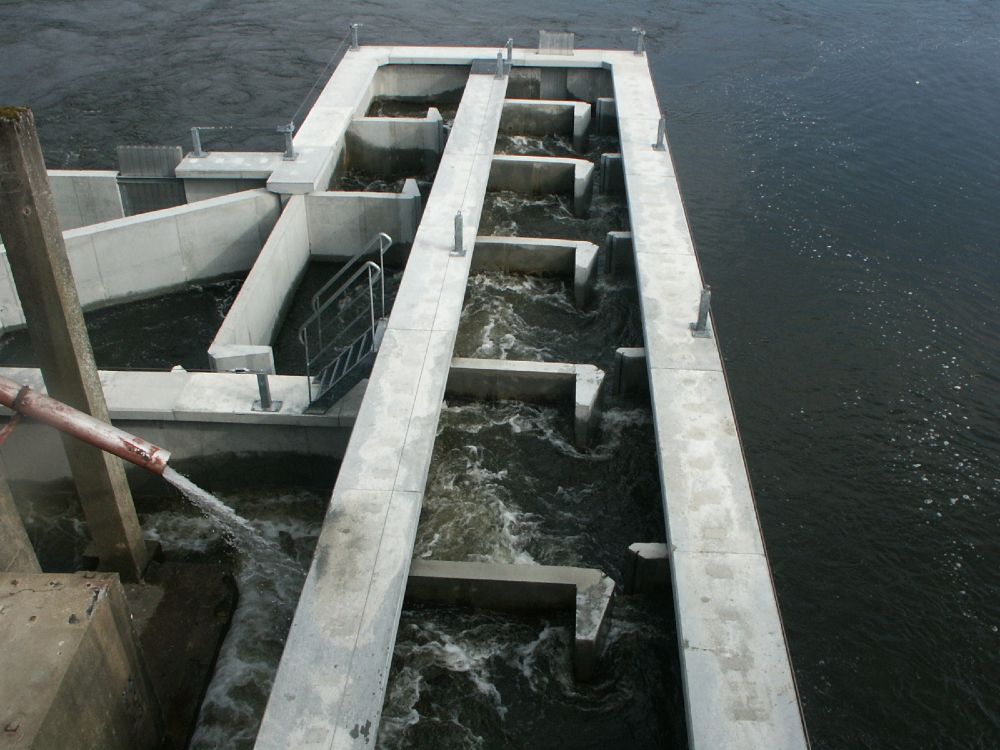 Passe à poisson Vienne Bonneuil-Matours